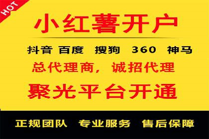 顶级SEM运营公司案例分析
